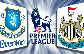 epl-everton-newcastle-2012-356