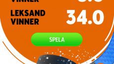 SHL omgång 21 Djurgården - Leksand