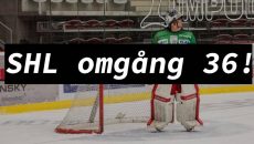 SHL omgång 36 - Växjö -Leksand