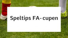 FA-cupen Tottenham Hotspur - Norwich City